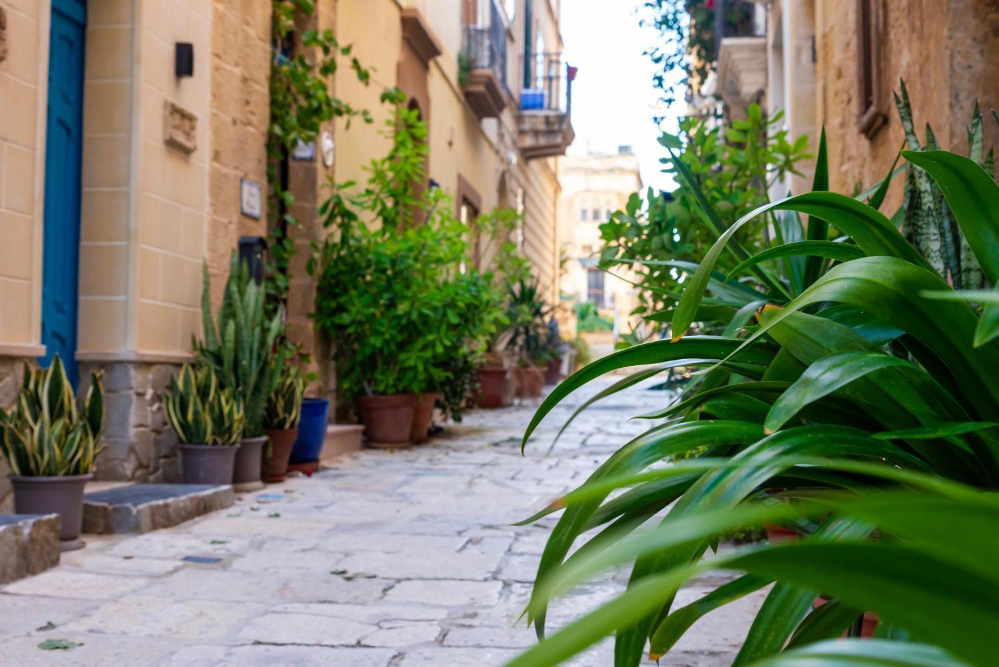Great Siege Apartment Senglea Esterno foto